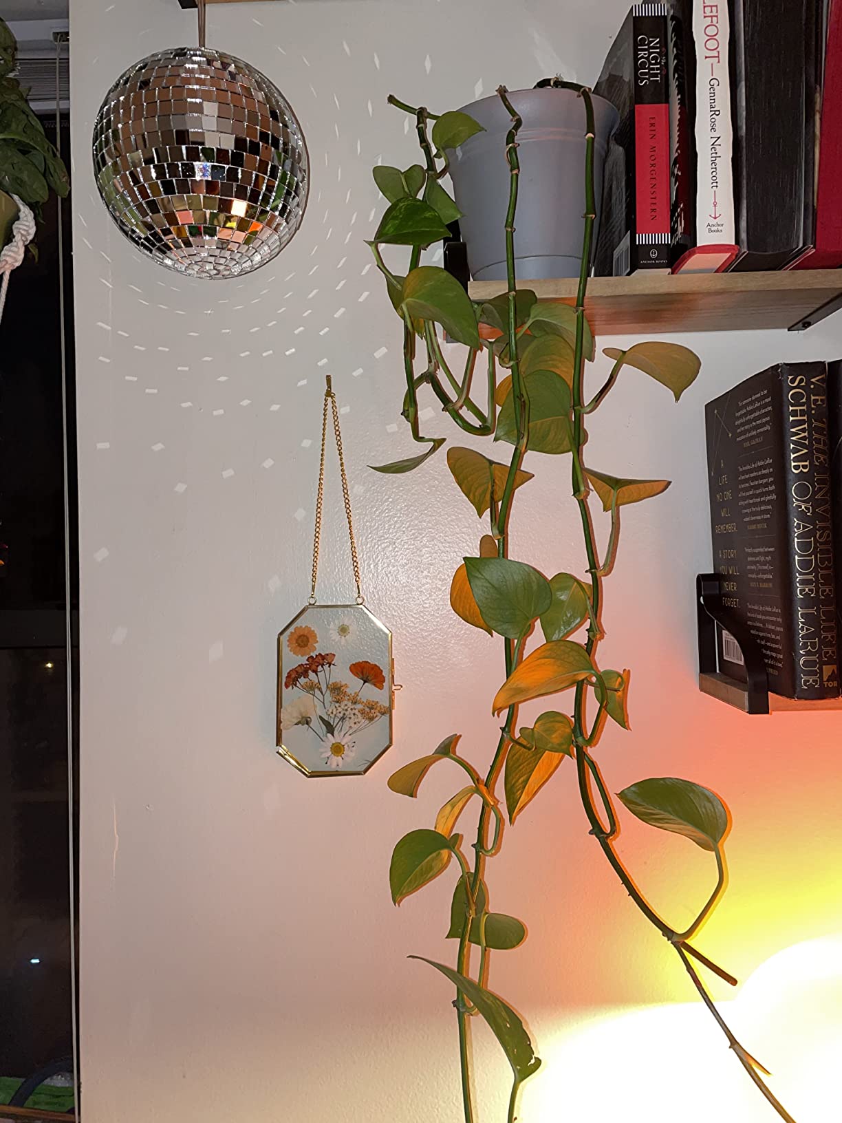 Apipi Hanging Glass Frames for Pressed Flowers Crafts with Sturdy Chain | Photo Picture Display Home Wall Art Decor, 3 Pcs customer photo 2