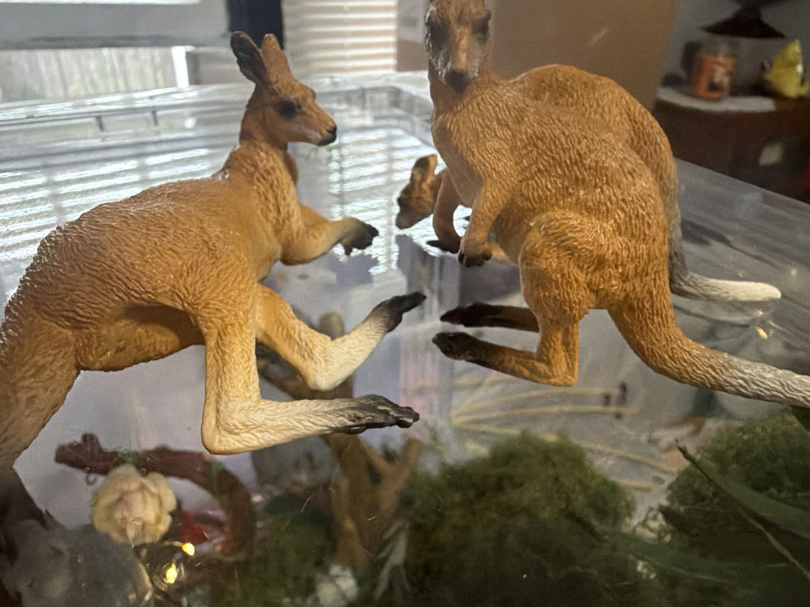 Toymany 7PCS Australian Wildlife Animal Figurines Includes Koala and Kangaroo Figure Toy Set customer photo 2