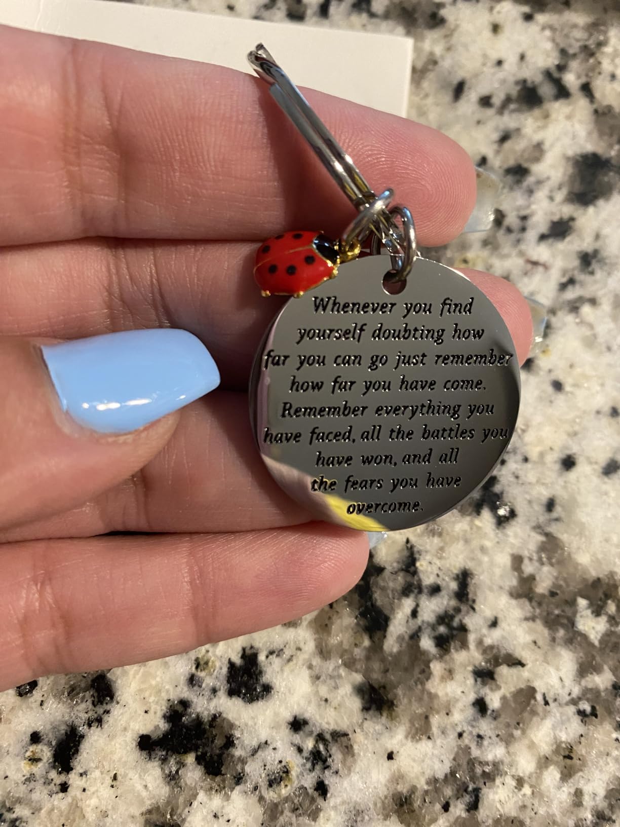 TIIMG Ladybug Inspirational Keychain Ladybug Lover Gifts Good Luck Gifts For Friend customer photo 1