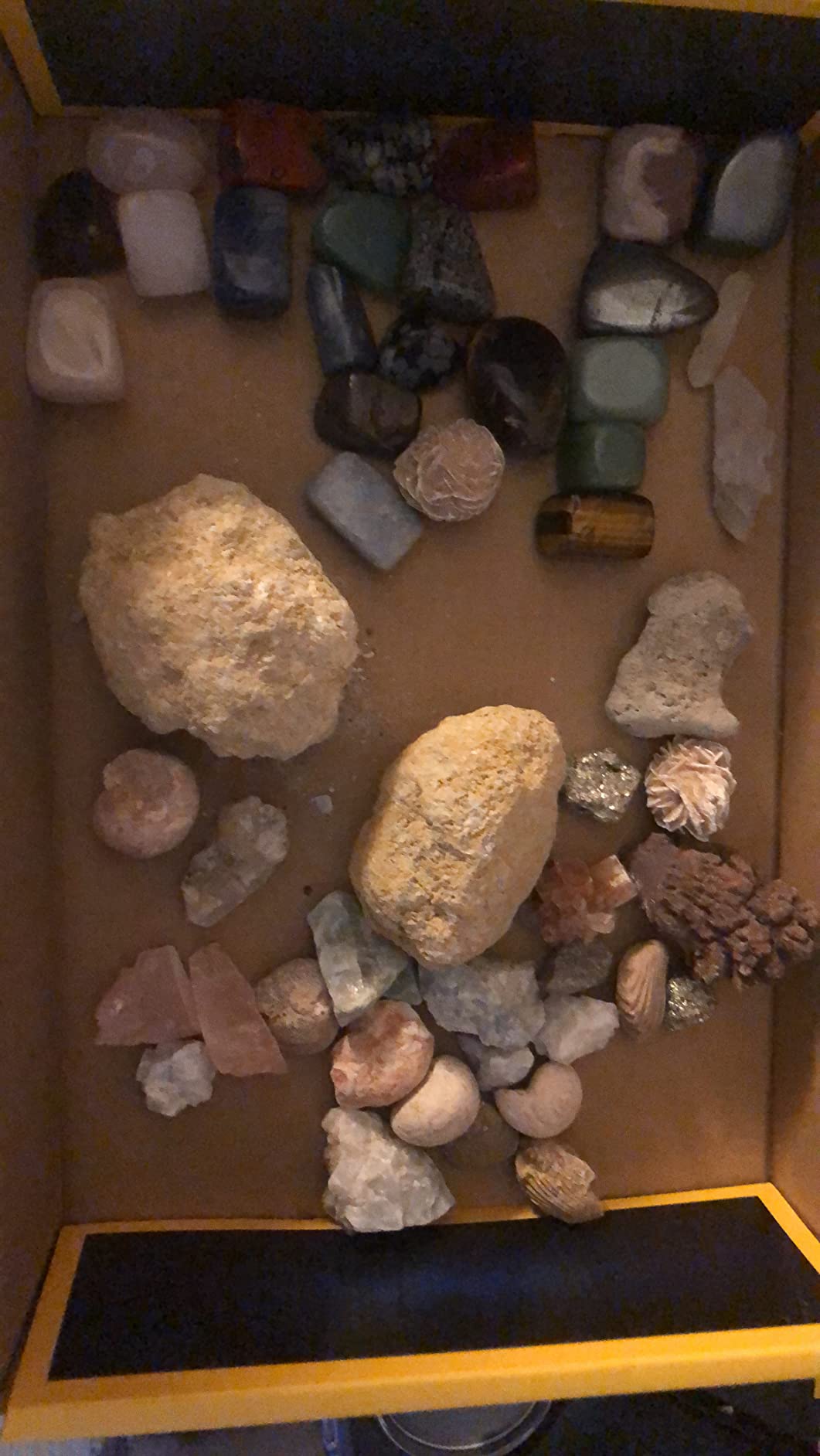 National Geographic Rock Collection Box & Rocks and Minerals Expert Book | Real Gemstones, Crystals & Minerals, Absolute Expert Book, Geology Learning, Rock Collection, Storage Box, Birthday Gift customer photo 2
