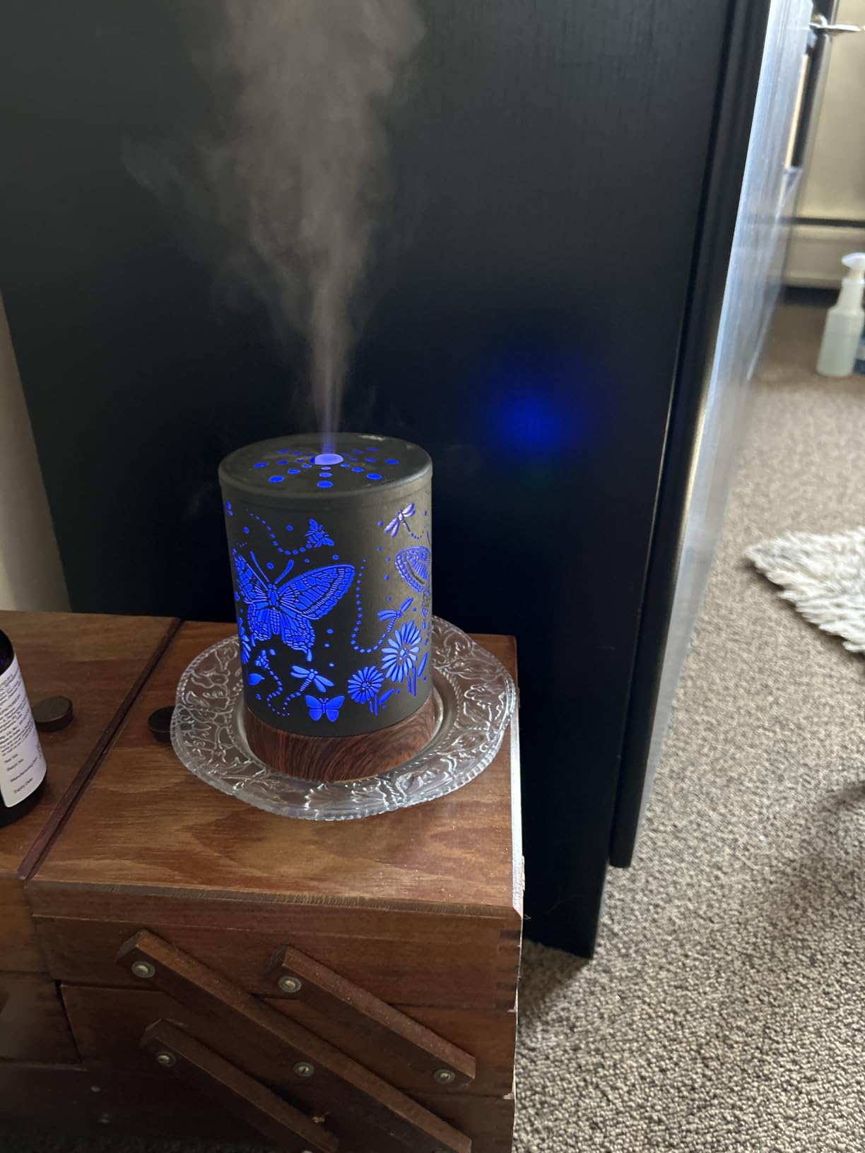 Essential Oils Diffuser,Aromatherapy Diffuser,Birthday for Women Mom Grandma,Metal Cool Mist Humidifier with 7 Colors Lights Waterless Auto Off Air Diffusers (Dragonfly) customer photo 1