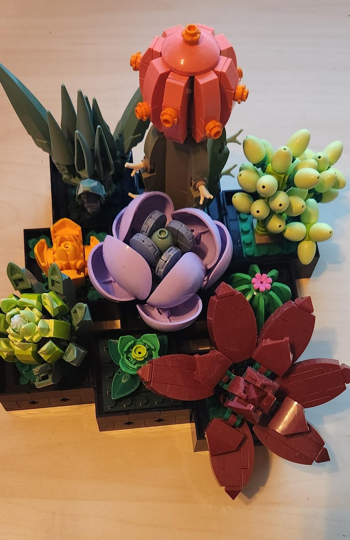 LEGO Botanicals Succulents 10309 | Back to School Gift for Students & Teachers, Building Set for Adults, Ages 18+, 771 Pieces, Artificial Plant Home Decor customer photo 1
