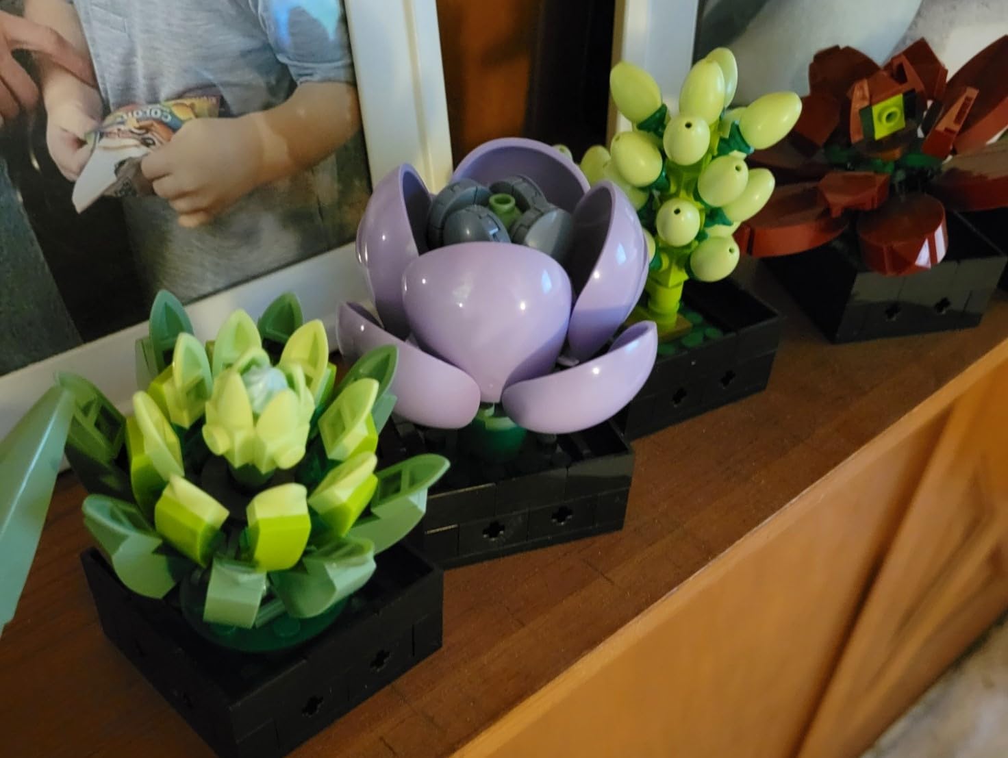 LEGO Botanicals Succulents 10309 | Back to School Gift for Students & Teachers, Building Set for Adults, Ages 18+, 771 Pieces, Artificial Plant Home Decor customer photo 2