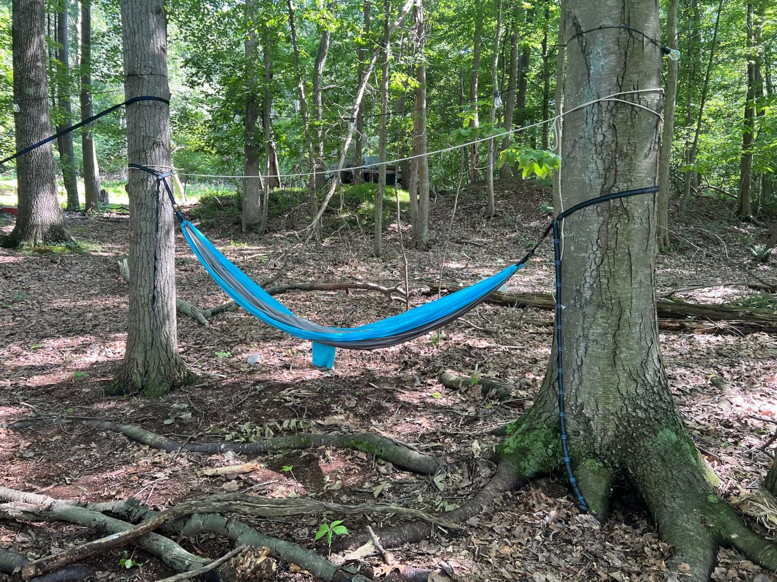 SZHLUX Camping Hammock Double and Single Portable Hammocks with Tree Straps and Carry Bag customer photo 2