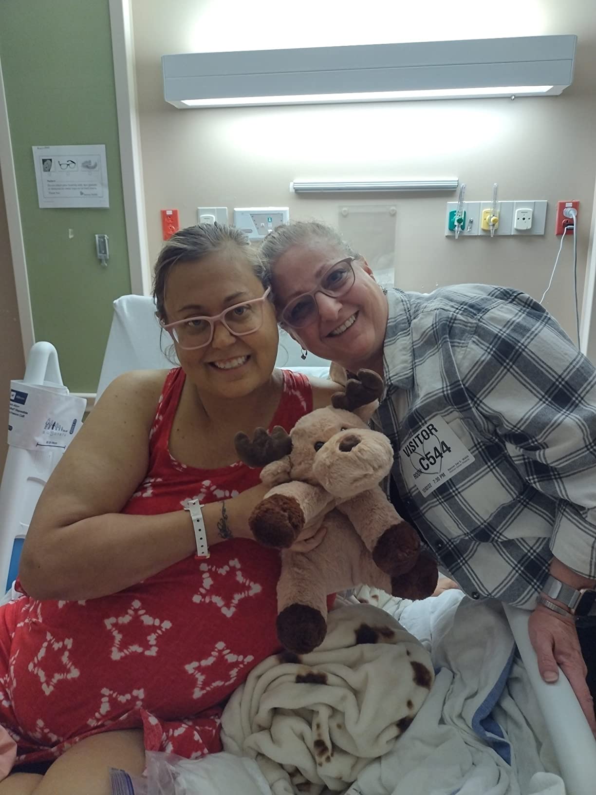 WEIGEDU Caribou Reindeer Elk Moose Stuffed Animal Plush Toy, Brown, 13 inch customer photo 1
