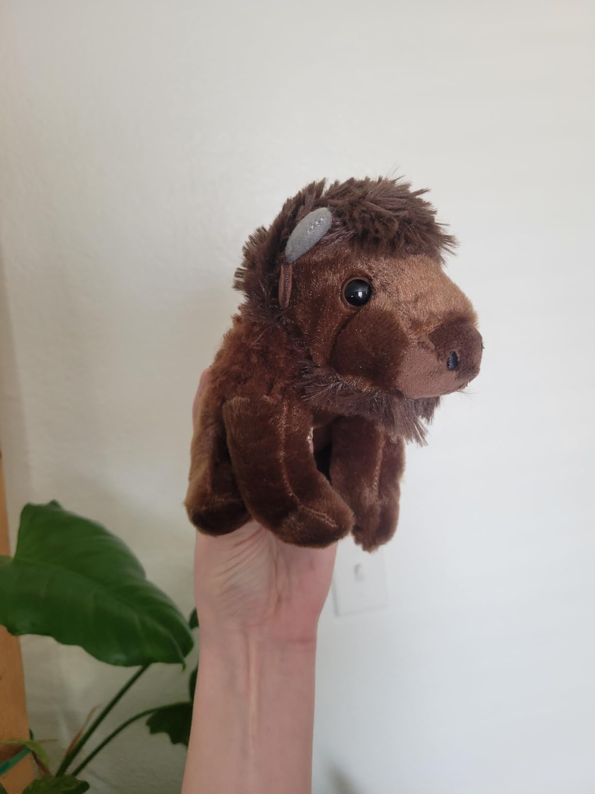 The Petting Zoo Bison Stuffed Animal Plushie, Babiez, Kids Gifts, 6 in | Wild Onez Bison Realistic Wildlife Zoo Animals by Zoologee. Great Toys for Girls and Boys. Plush Gifts for Kids customer photo 1