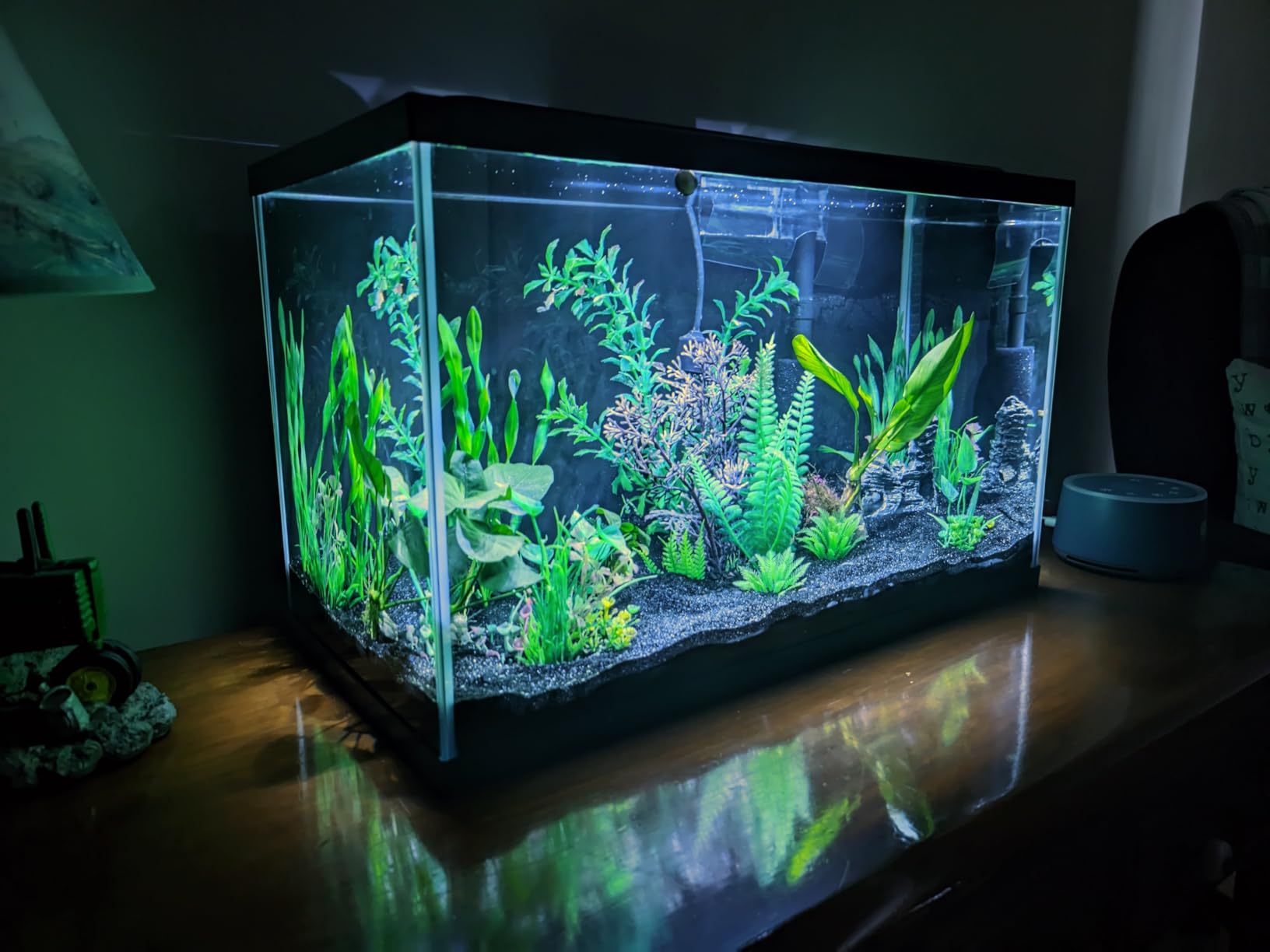 Tetra LED 10 Gallon Complete Fish Tank Kit customer photo 2