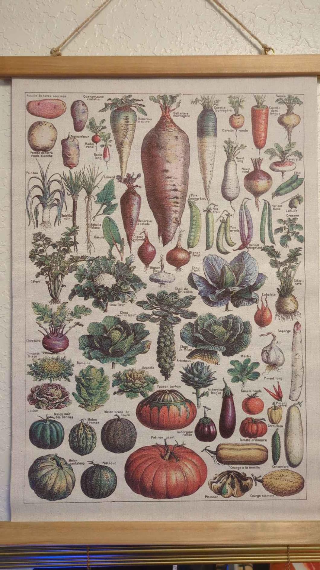 XIAOAIKA Vintage Zoology Poster - Illustrated Invertebrates and Marine Life Chart customer photo 1