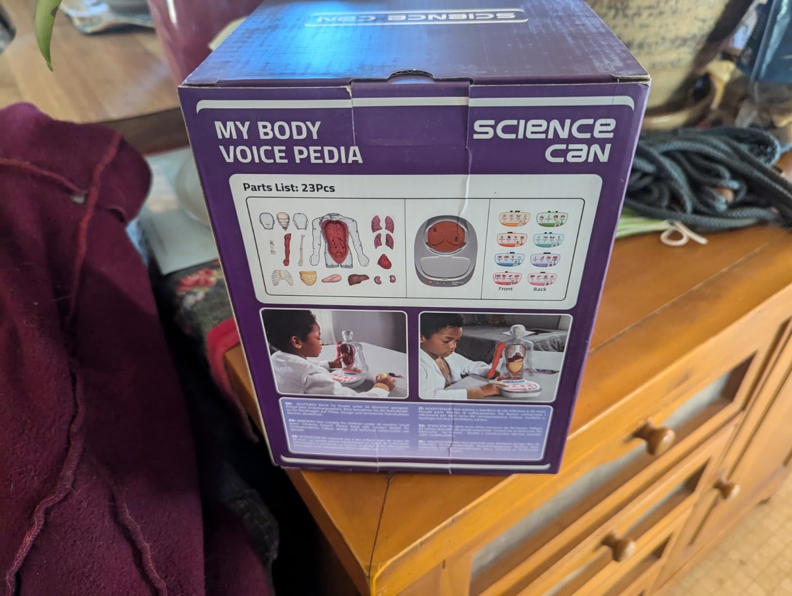 Science Can Human Body Model for Kids, Interactive Human Anatomy Talking Model - 11 Inch Realistic Anatomical Assembly Kit, 15PCS Removable Parts & Guide, Educational STEM Toys Gifts for Kids Aged 6+ customer photo 2