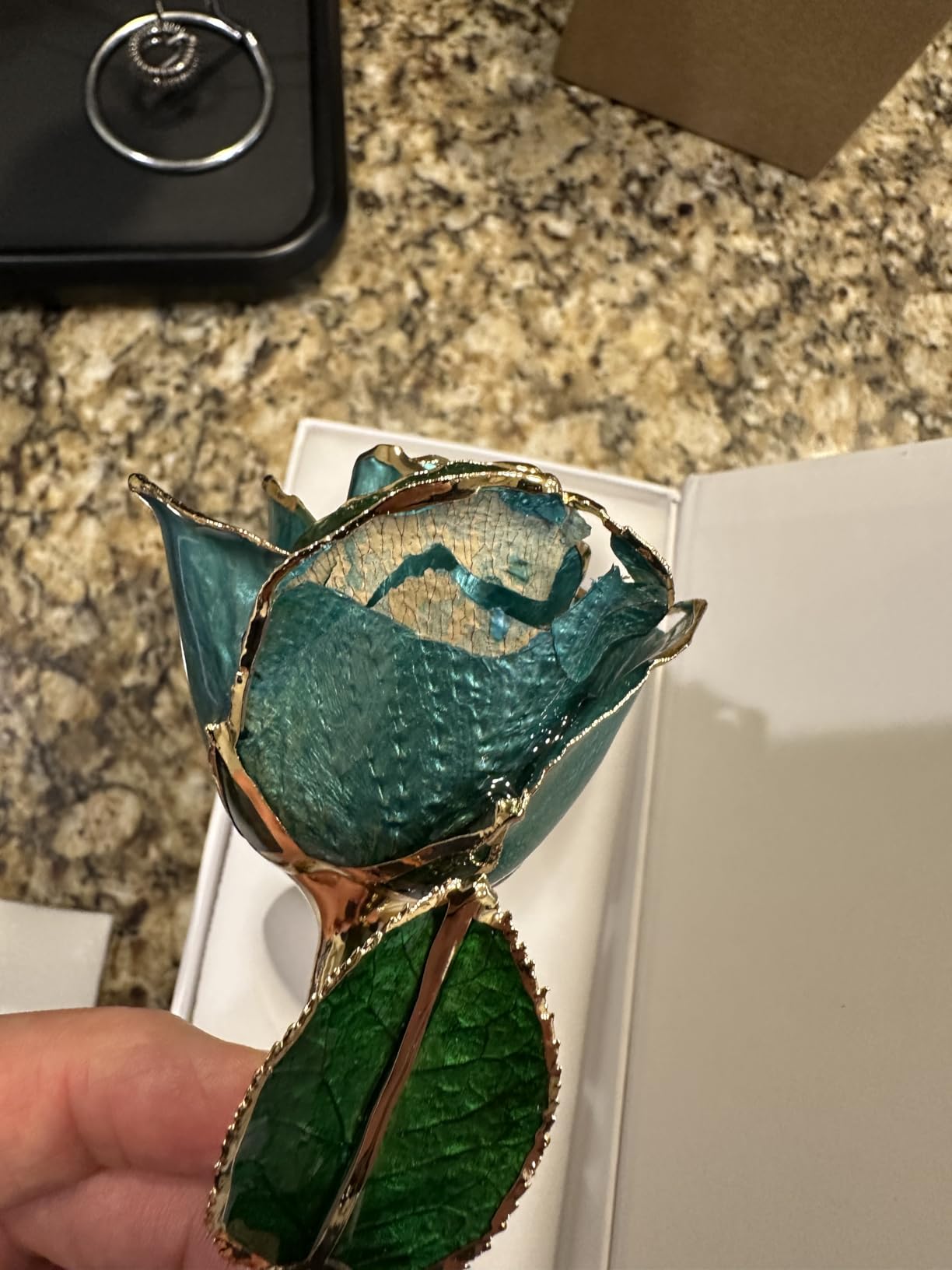 AliveRose 25th Anniversary Silver Rose for Wife, Unique Design for Anniversary Valentines Mothers Day Birthday Gifts (Silver Rose with Stand) customer photo 2
