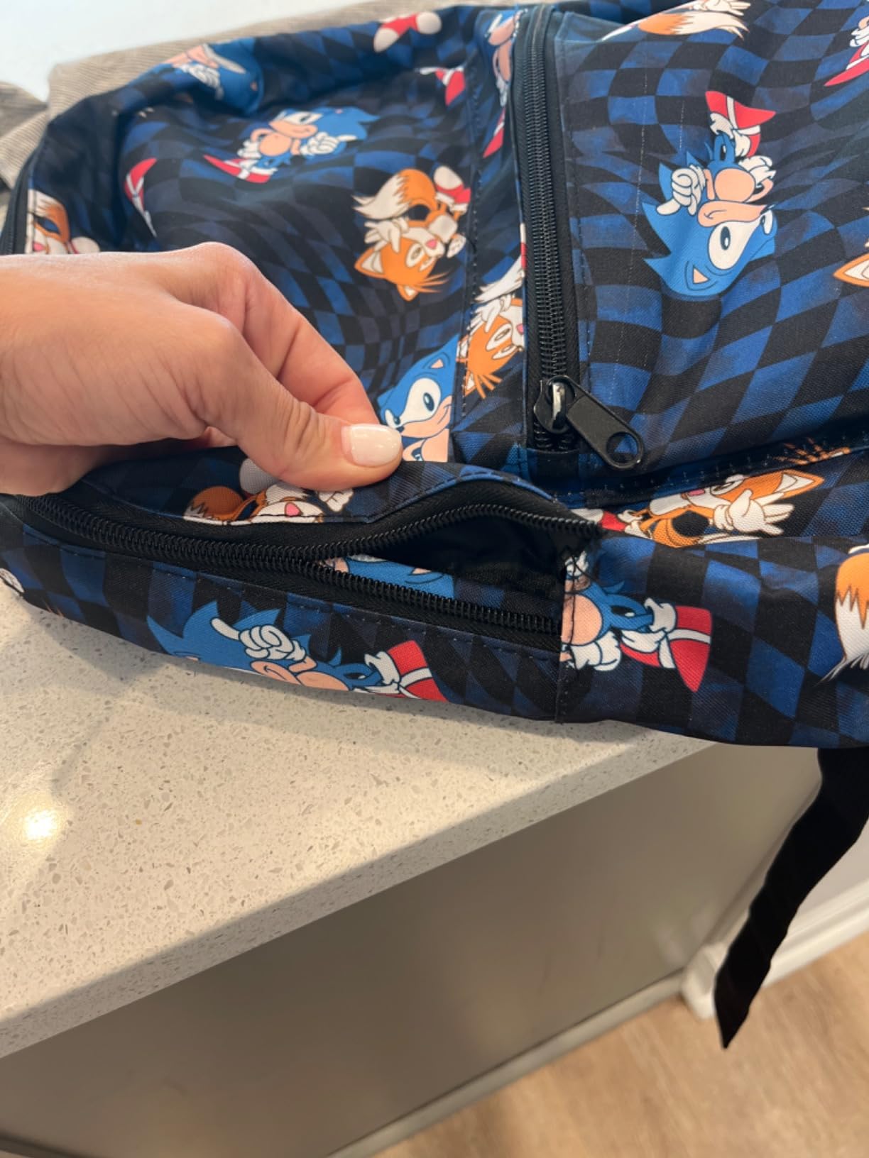 Sonic The Hedgehog Character Print Backpack customer photo 2