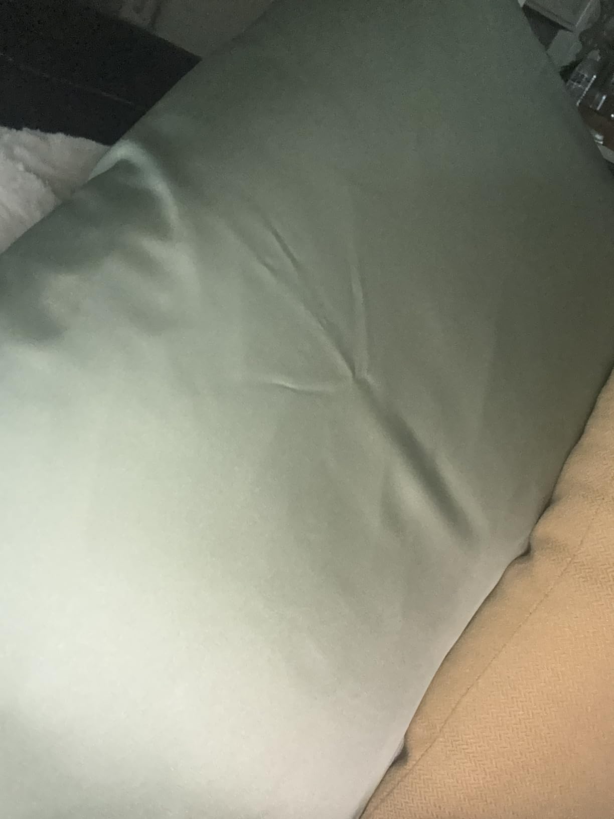 Silk Pillowcase for Hair and Skin, Mulberry Silk Pillow Cases King Size, Anti Acne Cooling Sleep Both Sides Natural Silk Satin Pillow Case Covers with Hidden Zipper, Gifts for Women Men, Champagne customer photo 1