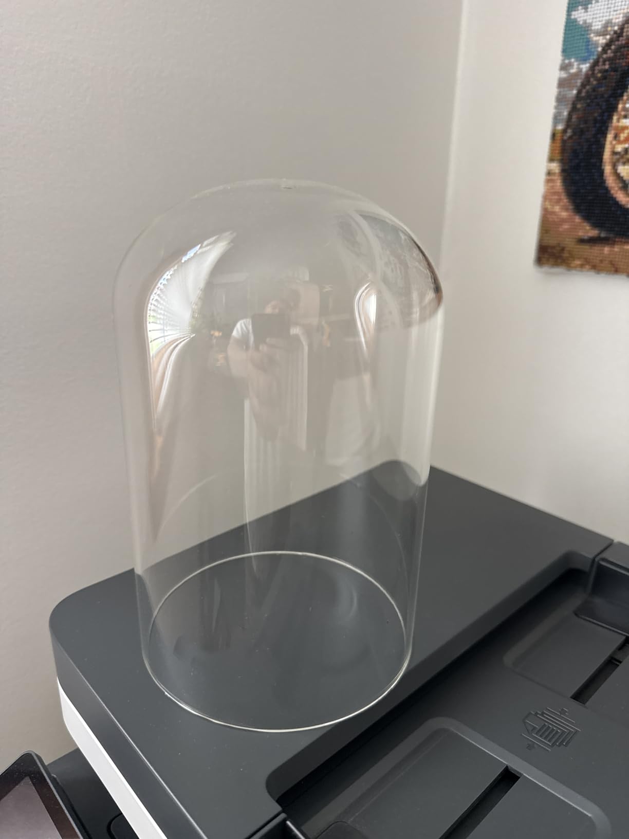 NCYP Glass Cloche Dome with Air Hole and Base, 5.9 x 5.9 x 8.2 Inches, Clear Terrarium Planter for Venus Flytrap, Small Plants, Home Indoor Tabletop Decoration (No Plants) customer photo 2