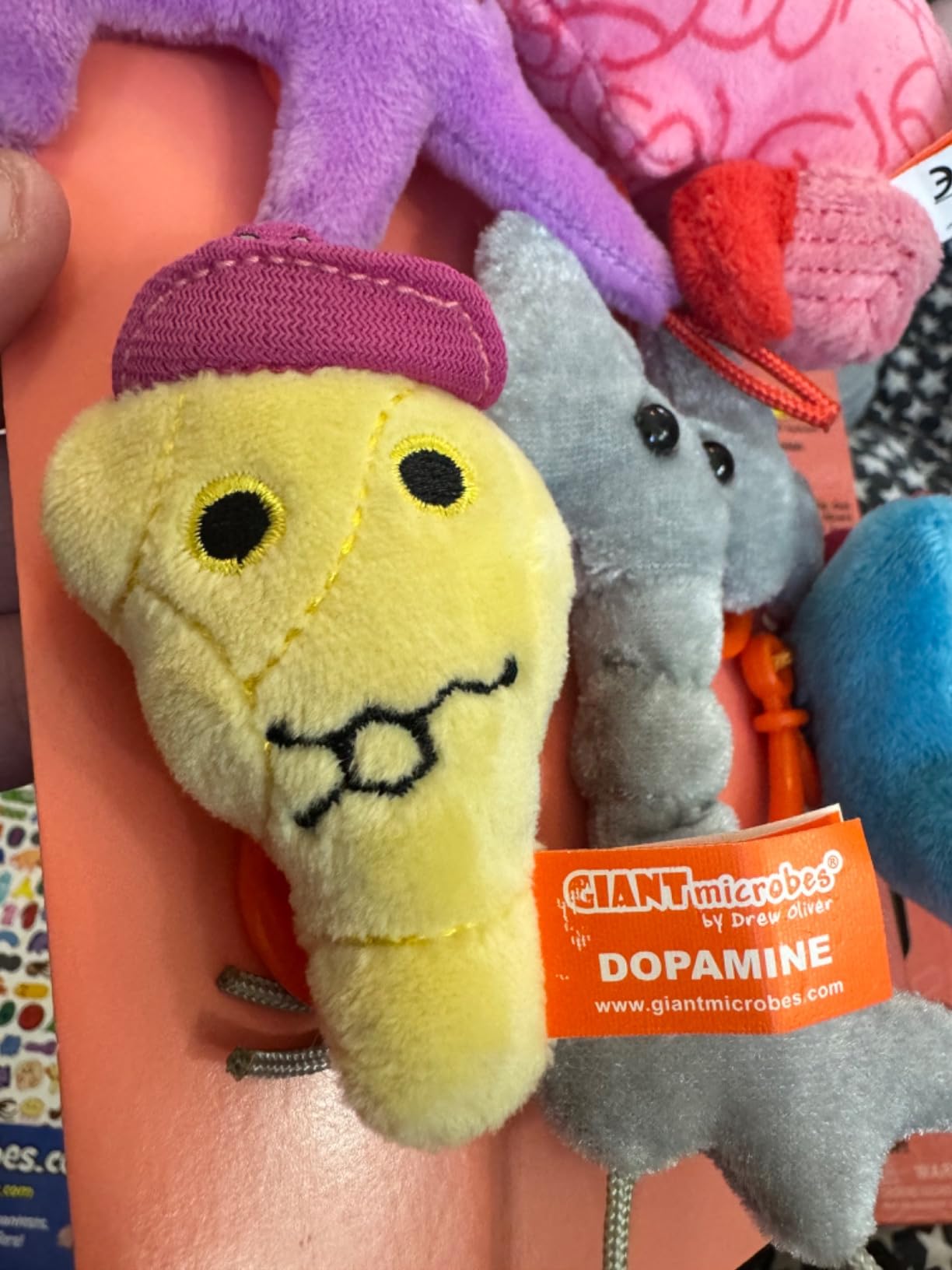 GIANT MICROBES Brain Science Themed Gift Box, Brain Gifts, Neurology, Psychology Gifts, Plush Keychain, Therapist Gift, Bag Charms, Mental Health Awareness, TBI Awareness customer photo 1