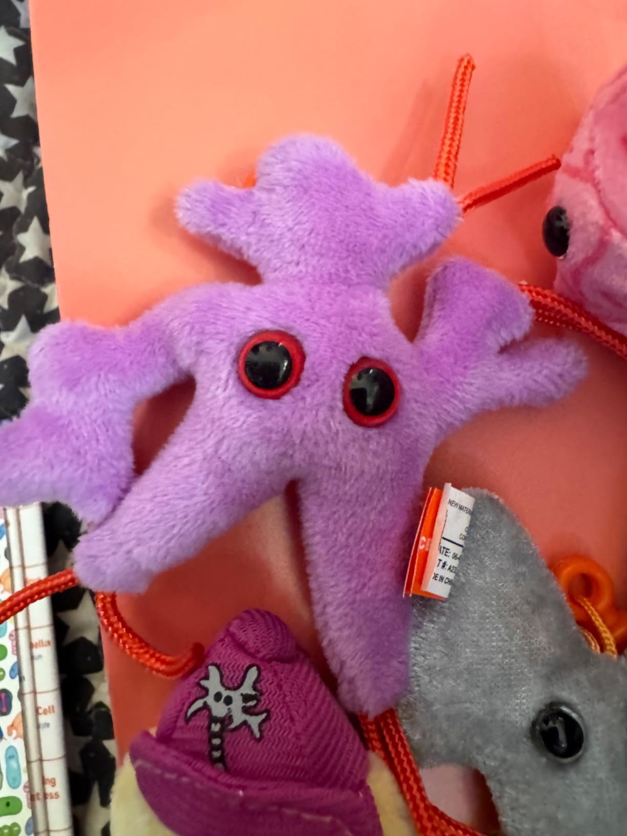 GIANT MICROBES Brain Science Themed Gift Box, Brain Gifts, Neurology, Psychology Gifts, Plush Keychain, Therapist Gift, Bag Charms, Mental Health Awareness, TBI Awareness customer photo 2