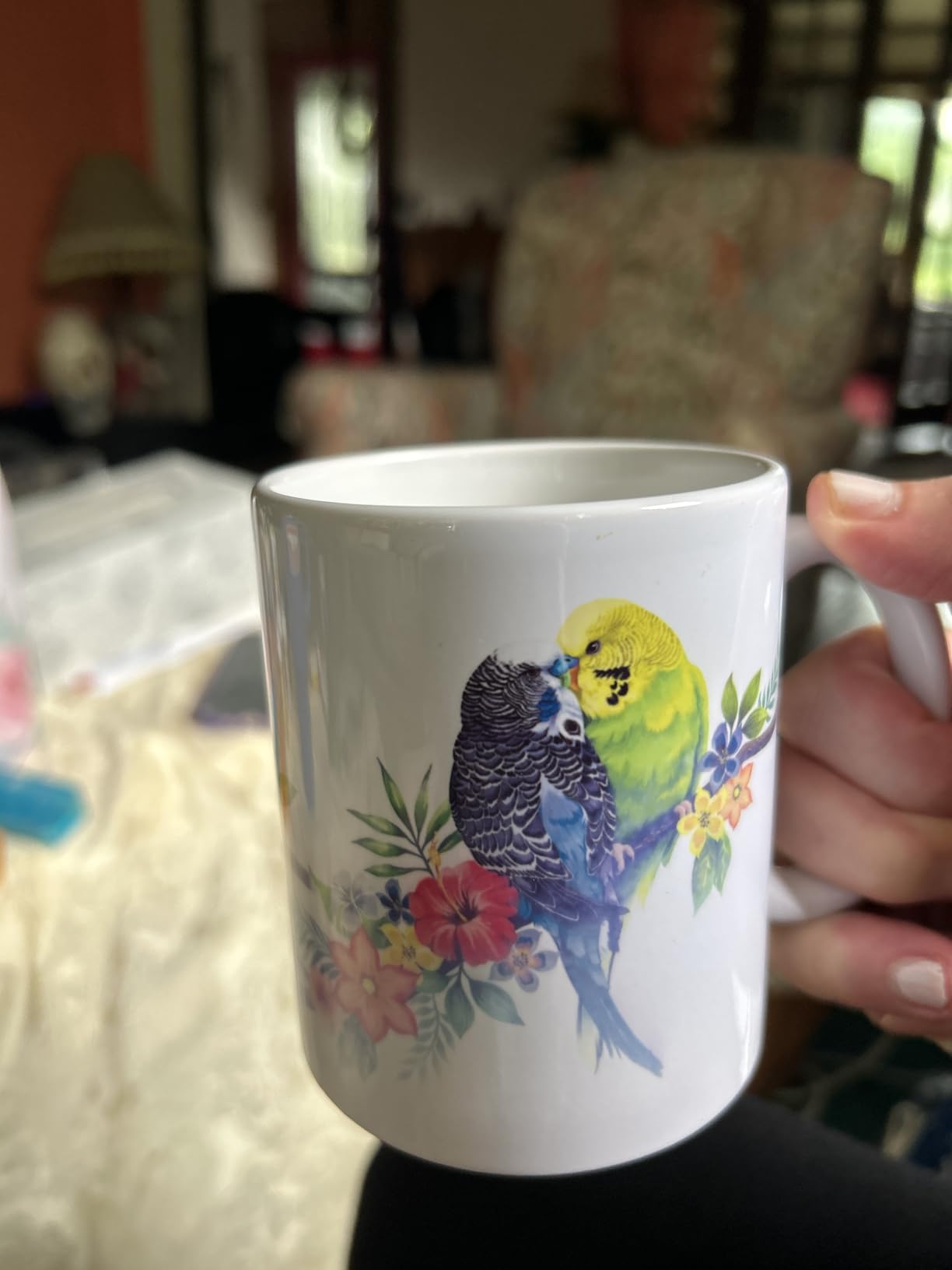MUGBREW American Robin Birds Ceramic Coffee Mug Tea Cup, 11 OZ customer photo 2