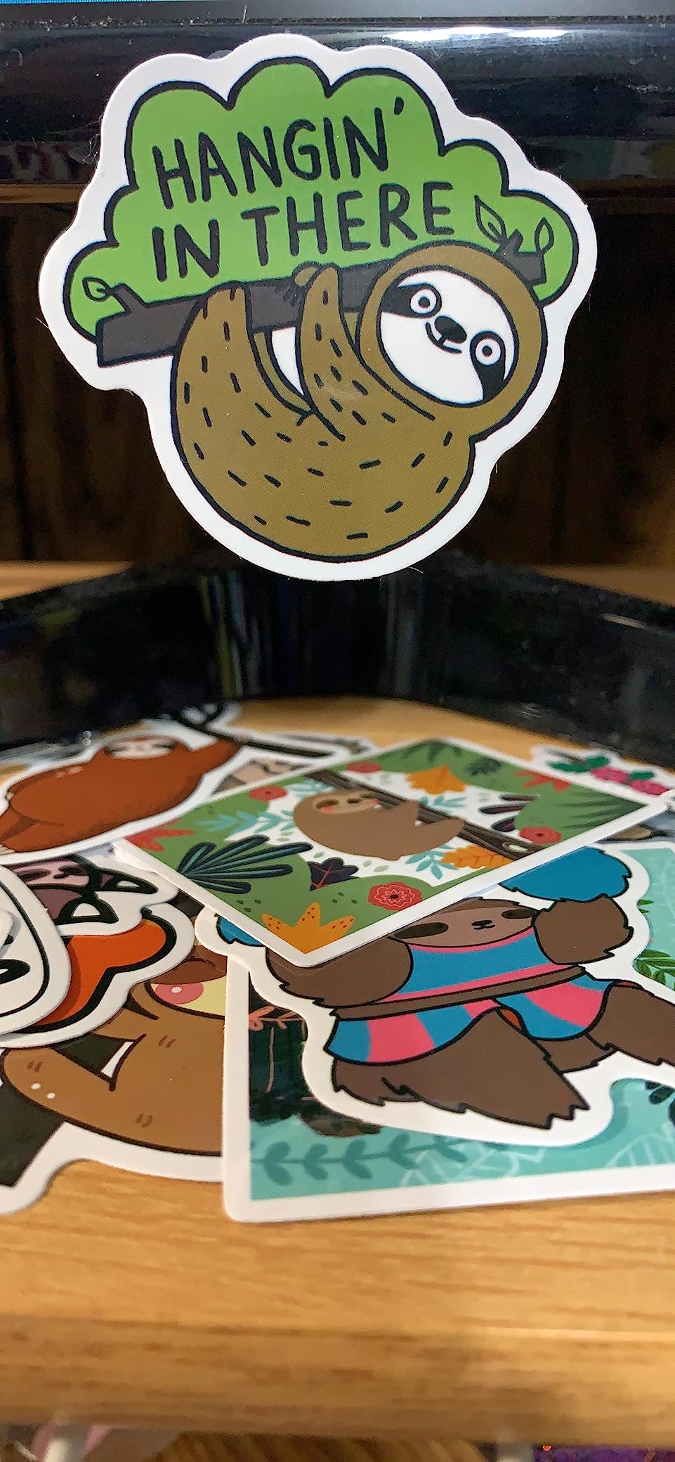 100pcs Cute Sloth Stickers Pack for Water Bottle, Decals Vinyl Sticker for Hydroflask Laptop Computer Bike Helmet Notebook Phone, Sloth Gifts for Lovers customer photo 2