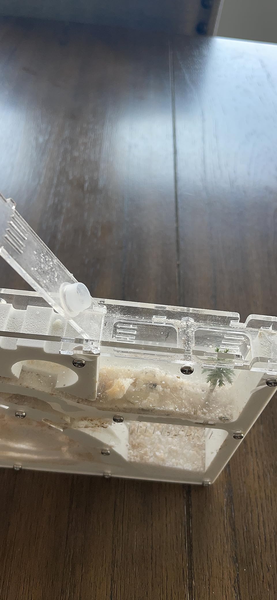 Ant Farm Kit for Kids, Large Ant Farm with Sand, Ant Colony Observation Kit | Large Viewing Area, STEM Learning, Ant Observation Habitat, Science Kit for Kids, Adults & Students, Accessories Included customer photo 1