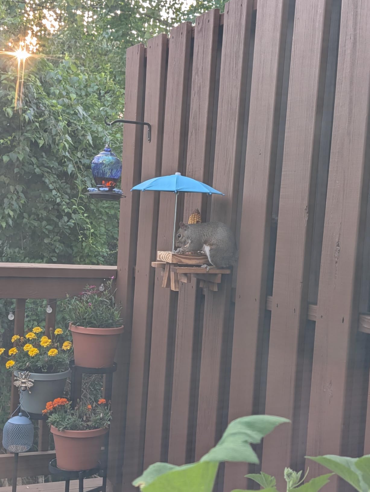 Squirrel Feeder Picnic Table with Tall Umbrella, Wooden Squirrel Feeders for Outside customer photo 1