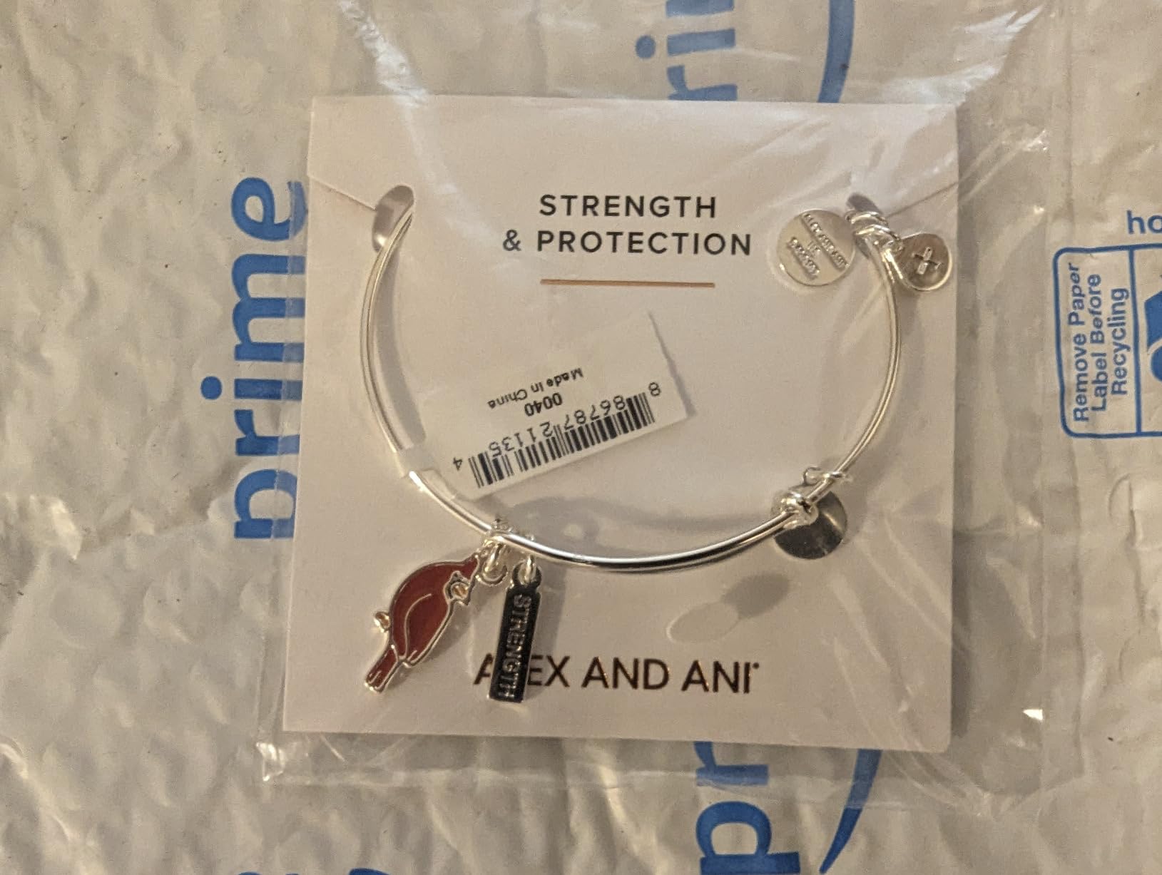 Alex and Ani Strength' Cardinal Duo Charm Bangle Bracelet customer photo 1