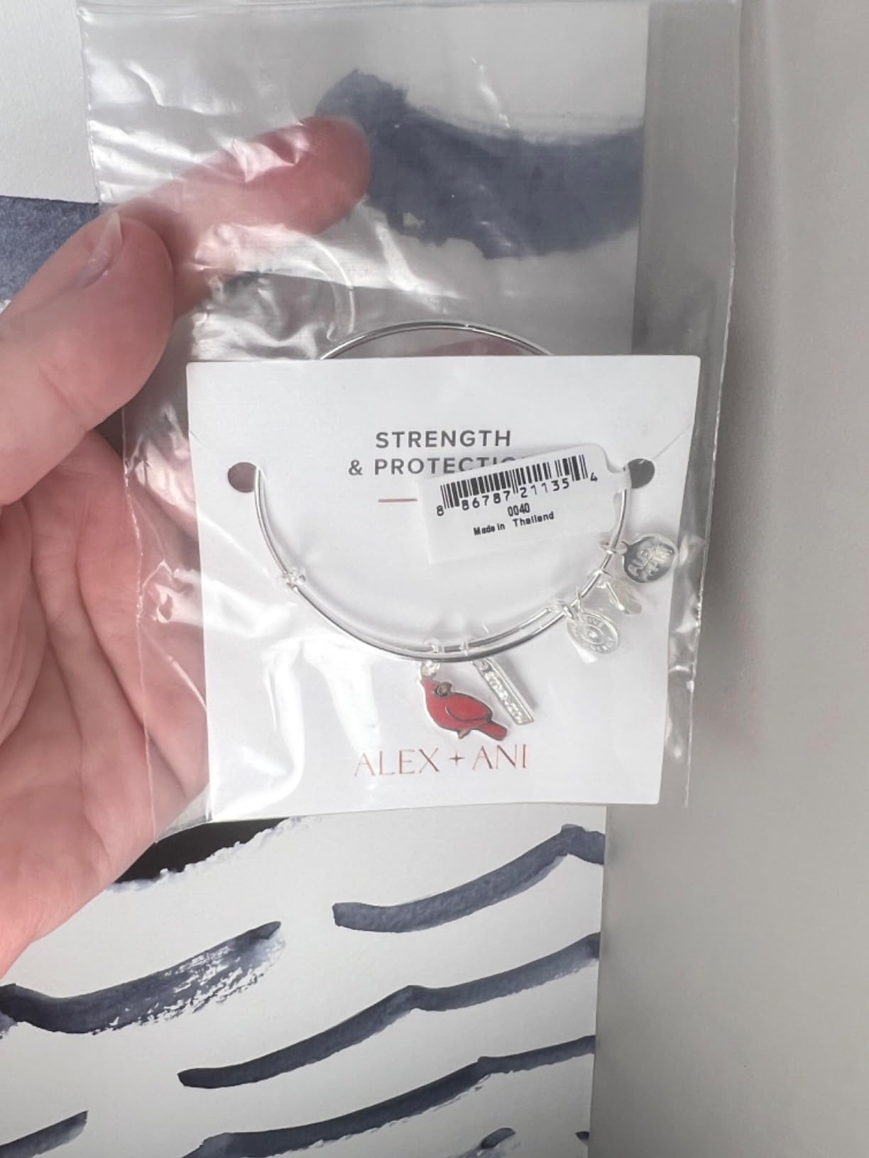 Alex and Ani Strength' Cardinal Duo Charm Bangle Bracelet customer photo 2