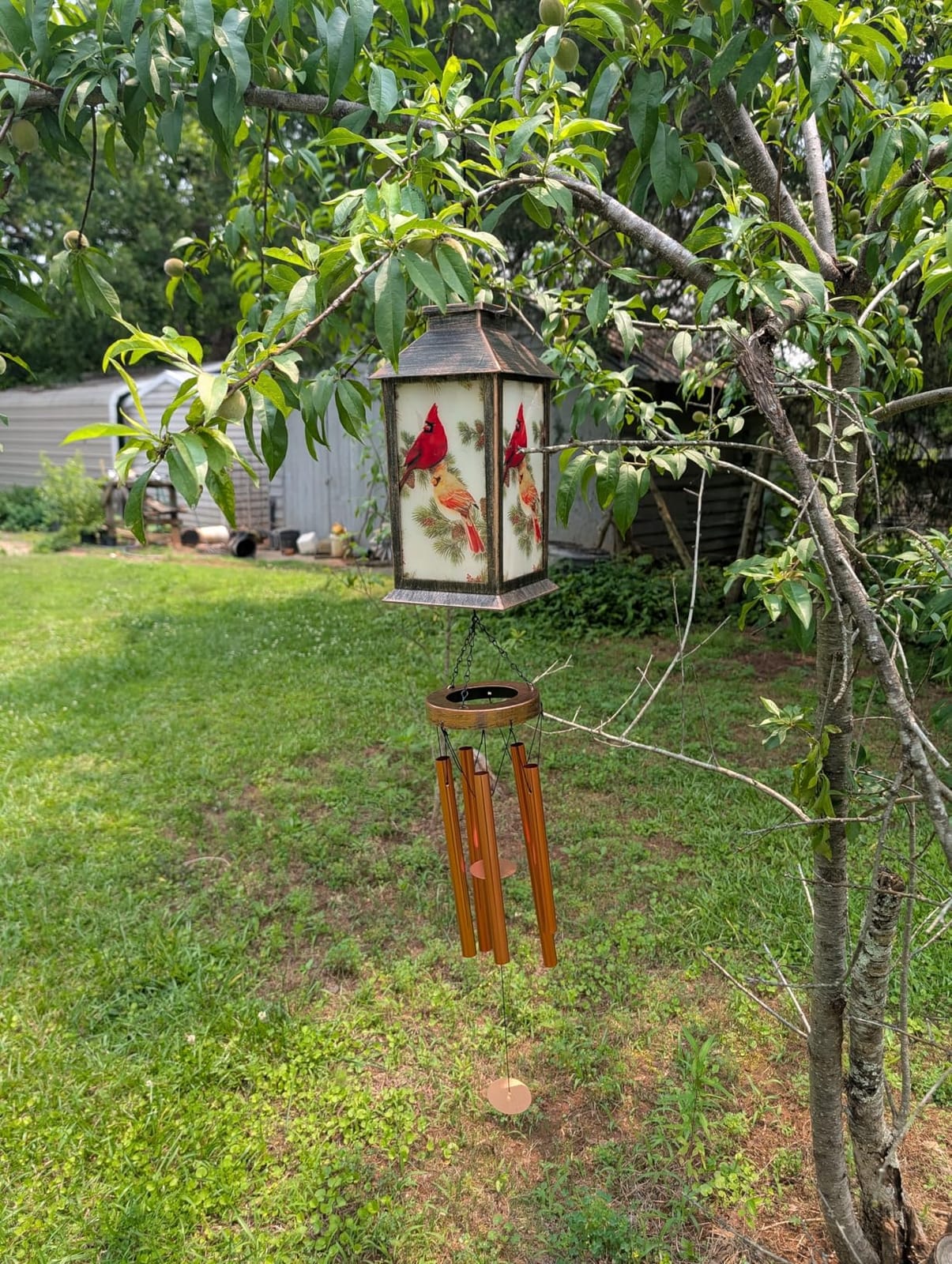 YHmall Solar Wind Chimes for Outside, 35 Inch LED Cardinal Memorial Wind Chimes | Cardinal Windchimes Outdoors Christmas Birthday Gifts for Women Mom Grandma Home Garden Decor customer photo 2