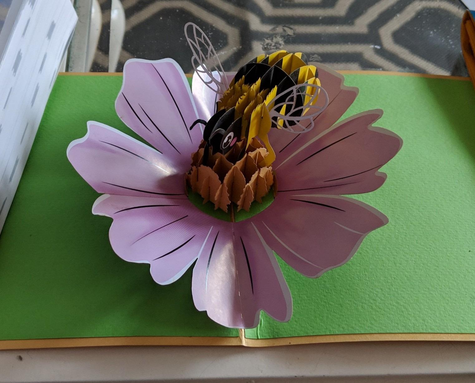 PopLife Toucan Birds 3D Pop Up Card for All Occasions - Birthday Greeting Card, Anniversary, Mother's Day, Thanksgiving, Christmas - Love, Just Because, Thank You, Good Luck - For Wife, Mom, Step-Mom customer photo 2
