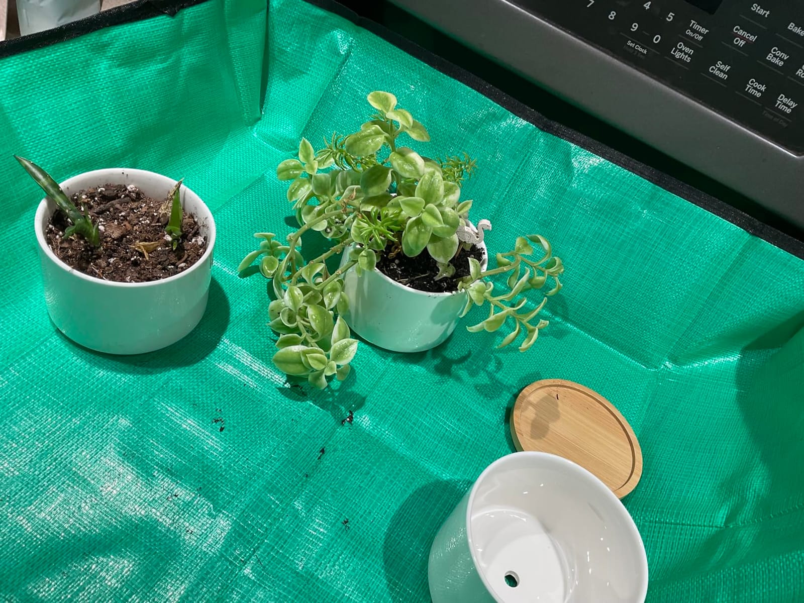 HNXTYAOB Repotting Mat for Indoor Plant Transplanting and Mess Control 27