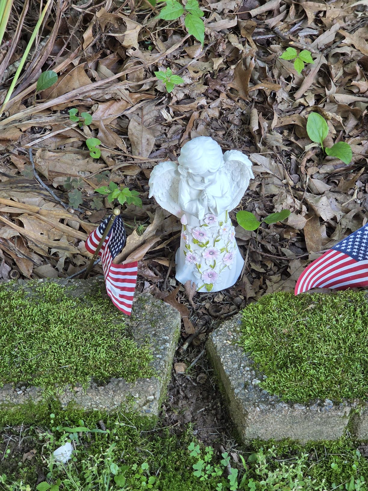 Nacome Solar Garden Outdoor Statues Frog with Succulent and 7 LED Lights - Lawn Decor for Patio, Balcony, Yard Ornament for Mom Grandma Women customer photo 2