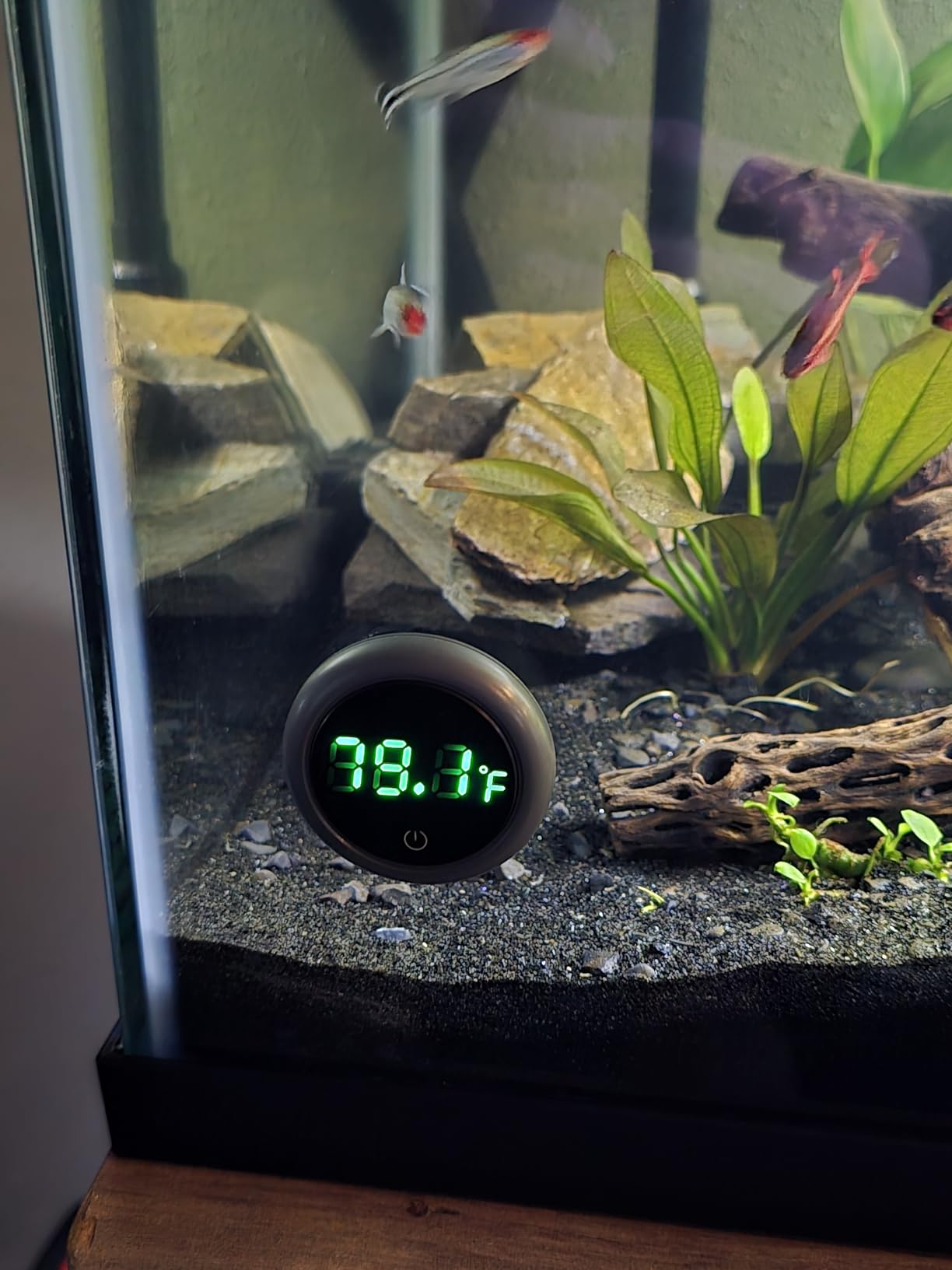 PAIZOO Aquarium Thermometer Digital, Highly Accurate Fish Tank Thermometer | LED Display, 8000h Battery Life, Precise Temp Gauge, Range 0-140°F, Stick-on Fish Tank Thermometer for Betta, Axolotl & Turtle customer photo 1