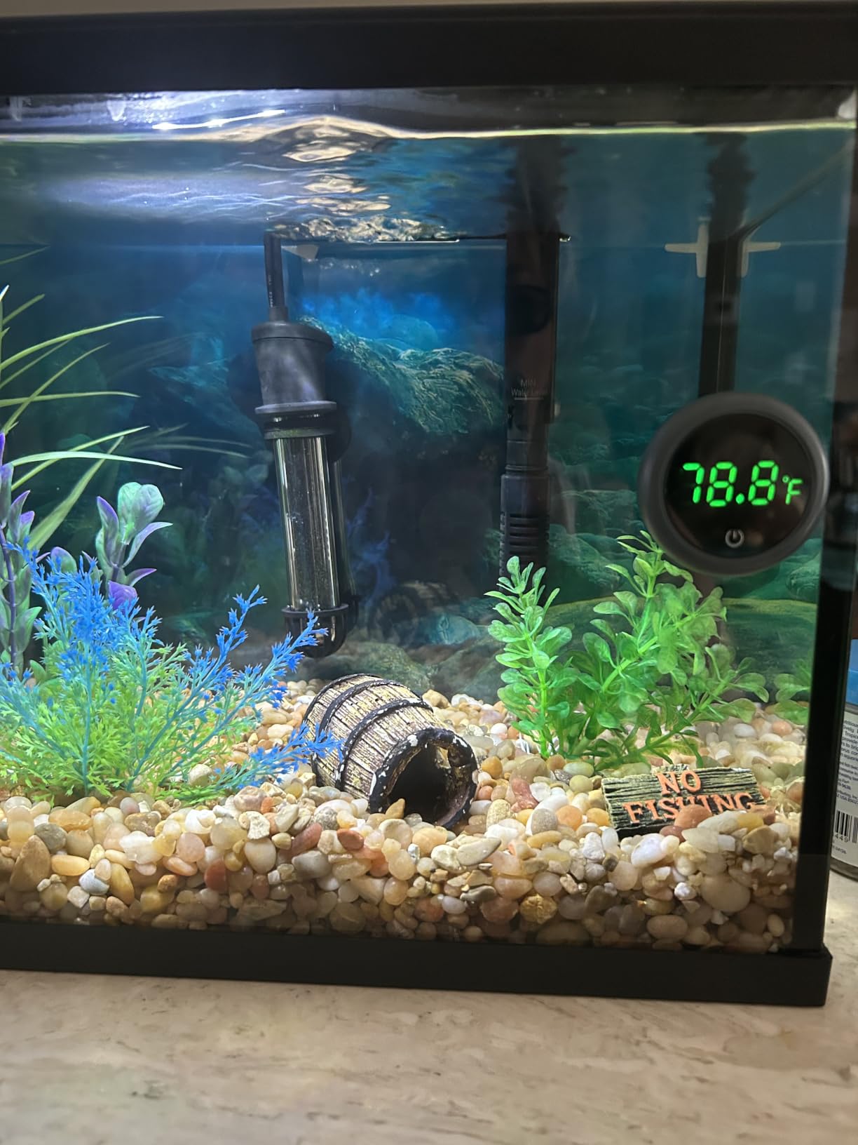 PAIZOO Aquarium Thermometer Digital, Highly Accurate Fish Tank Thermometer | LED Display, 8000h Battery Life, Precise Temp Gauge, Range 0-140°F, Stick-on Fish Tank Thermometer for Betta, Axolotl & Turtle customer photo 2