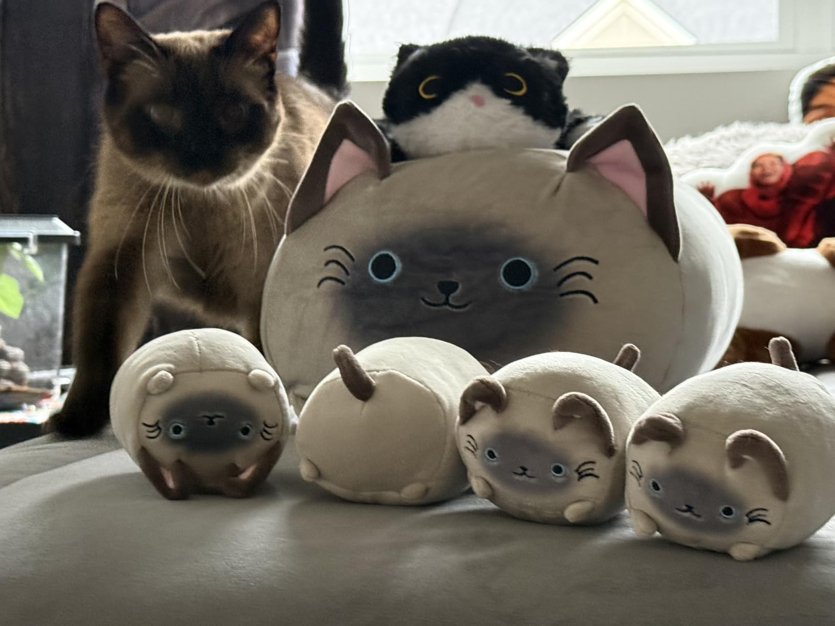SQEQE Chubby Seal Pillow Plush with 4 Baby Seal Plushies in Her Tummy, Stuffed Cotton Plush Animal Toy for Kids and Adult Gift customer photo 2