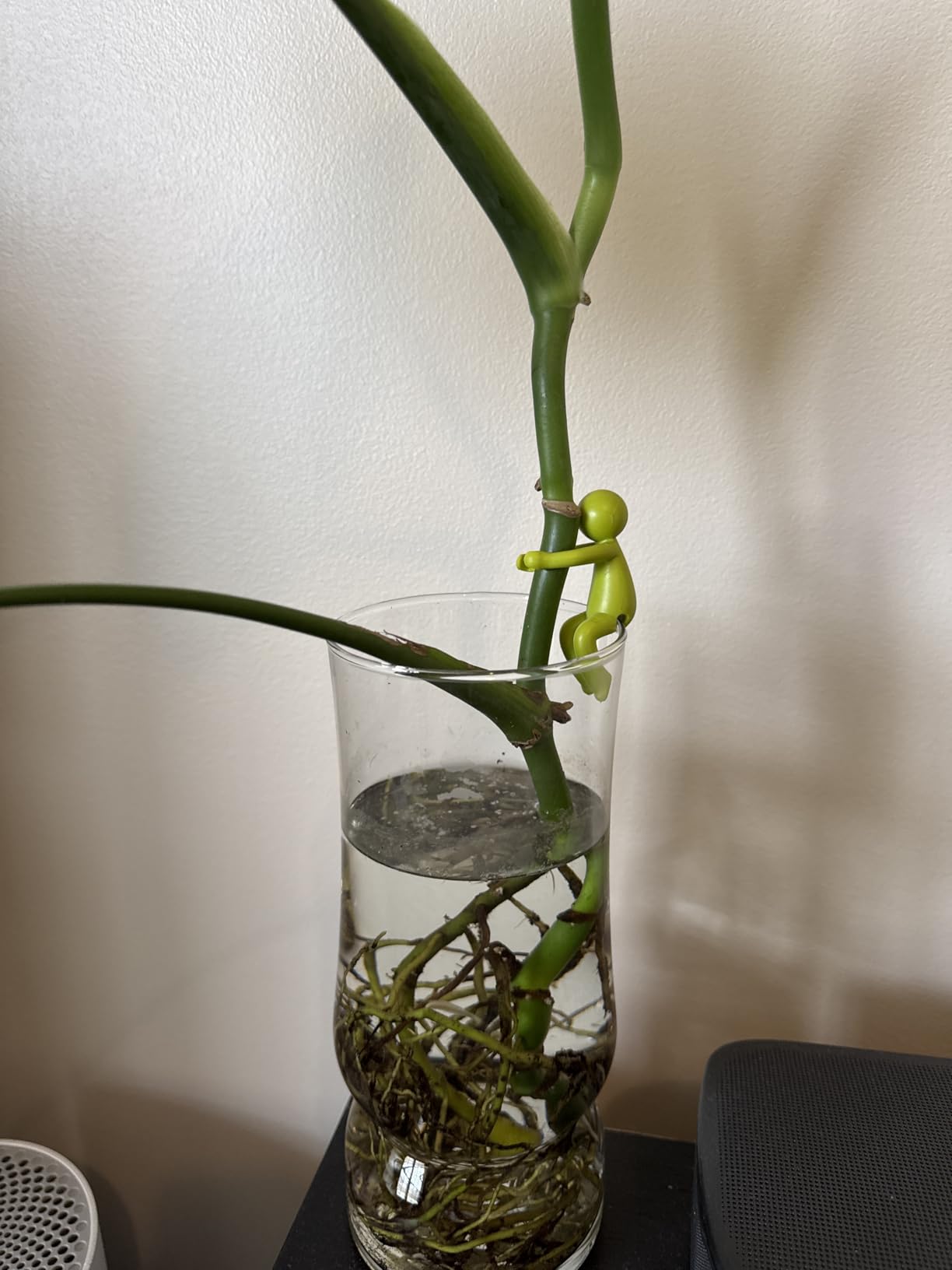 Leafriend: Plant Propagation Buddy; Plant Support for Sprouts, Stems, Shoots, and Cuttings; 3 Cute Plant Supports for a Plant Propagation Station or an Indoor Garden; Plant Lover Gifts by Peleg Design customer photo 1