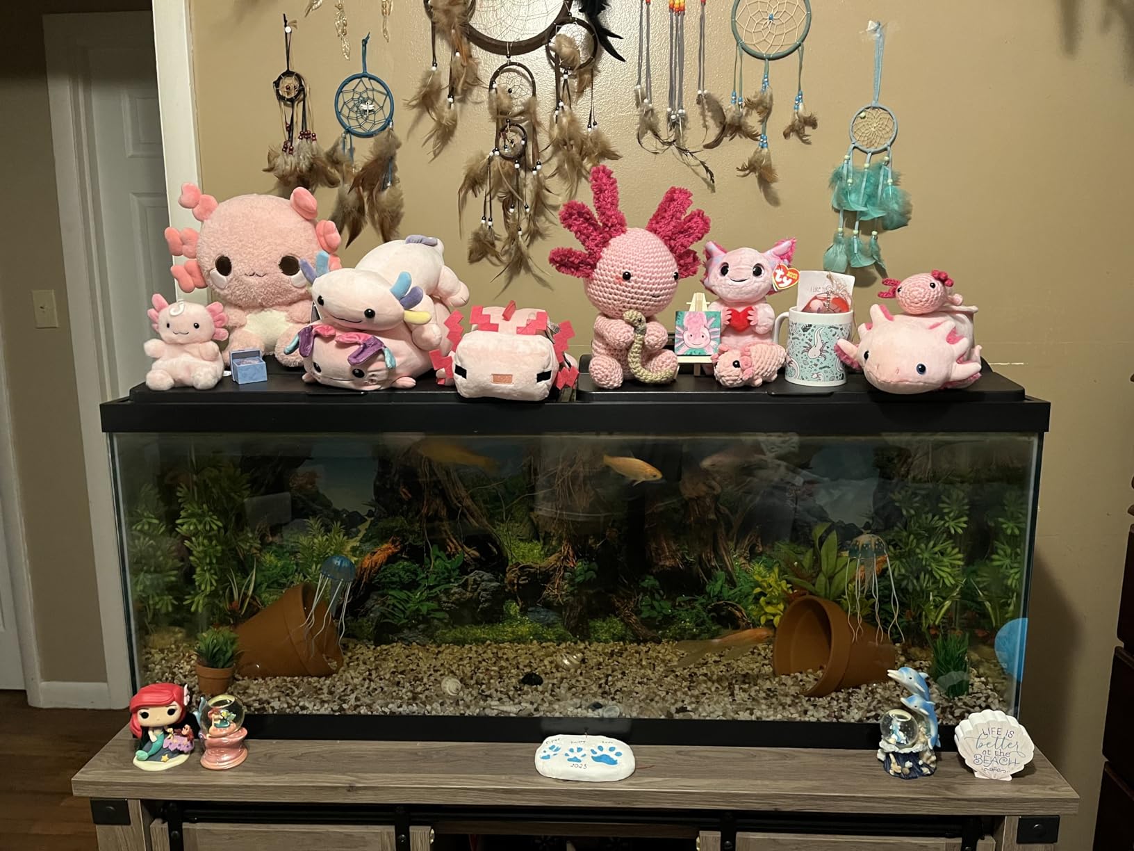 Aurora Palm Pals 5