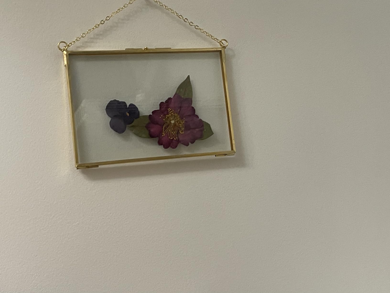 Treela 6 Pcs Pressed Flower Frames, 4 x 6 Inch, Gold | Double Glass Hanging Frames with Chains for Dried Flowers, Photos, Wedding Keepsakes, Gallery Walls and Vintage Artwork customer photo 2