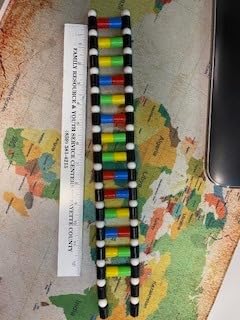 iplusmile DNA Double Helix Structure Models Kit Biological Science Popularization Teaching Aid for DNA Assembling, Educational Learning for School Student customer photo 1