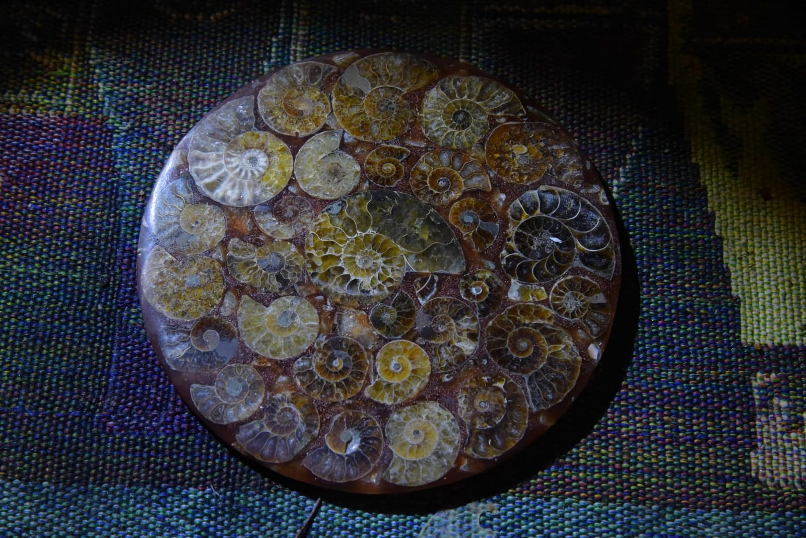 Natural Ammonite Disc Fossil Conch Nautilus Specimen Healing Decoration Gift Coaster Art Disc Quartz Crystal Cup Mat Stone 1PC customer photo 1
