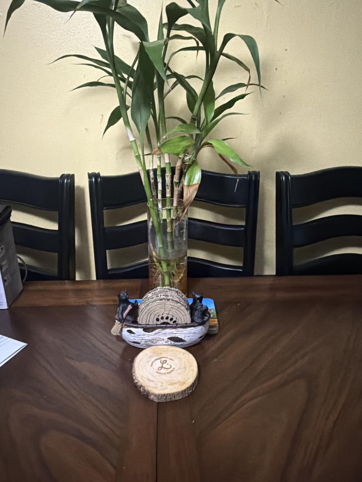 Deer Antlers Coaster Set of 6 - Handcrafted Deer Antler Decor and Man Cave Gifts for Men customer photo 1