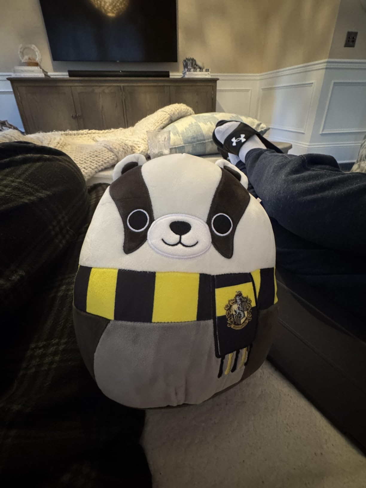 Squishmallows Original Harry Potter 10-Inch Hufflepuff Badger Plush - Medium-Sized Ultrasoft Official Jazwares Plush customer photo 1