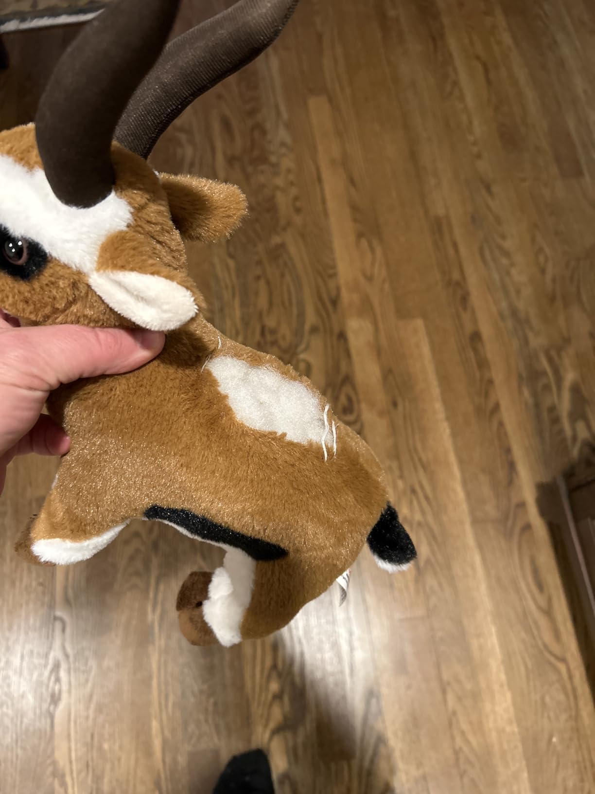 DolliBu Plush Stuffed Animal - Soft Huggable Antelope, Adorable Playtime Zoo Plush, Cute Wildlife Safari Cuddle Gift for Kids and Adults - 10 Inch customer photo 1
