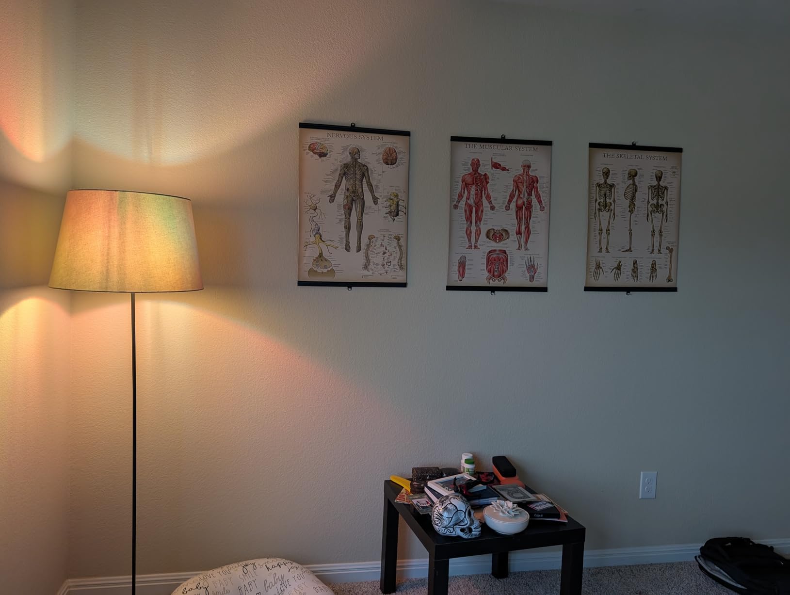Palace Learning 3 Pack - Vintage Muscle + Skeleton + Nervous System Anatomy Poster Set - Muscular and Skeletal System Anatomical Charts - Laminated 18