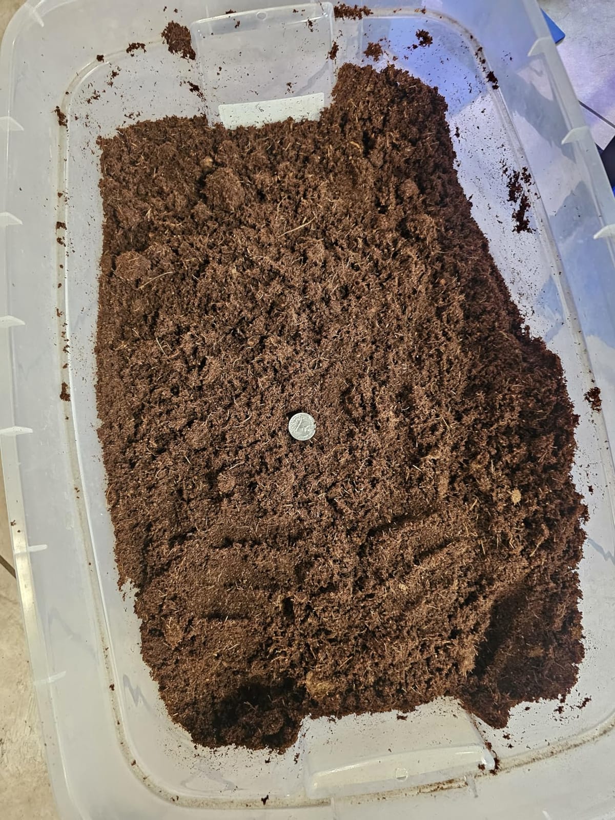 Riare 2 Pack Natural Coconut Fiber Substrate, Coco Coir Reptile Bedding customer photo 1