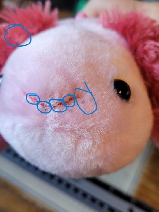 The Petting Zoo Axolotl Stuffed Animal Plush, Wild Onez, Kids Gifts, 14 in | Axolotl Realistic Sealife Animals by Zoologee. Great Toys for Girls and Boys. Plush Gifts for Kids customer photo 1