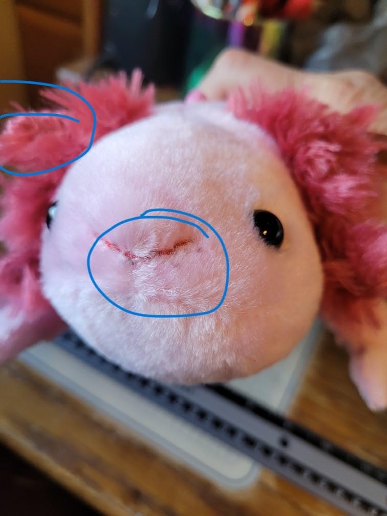 The Petting Zoo Axolotl Stuffed Animal Plush, Wild Onez, Kids Gifts, 14 in | Axolotl Realistic Sealife Animals by Zoologee. Great Toys for Girls and Boys. Plush Gifts for Kids customer photo 2