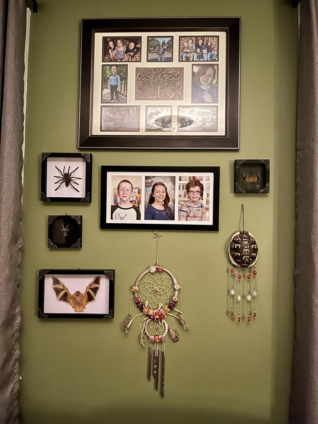 Real Framed Flower Mantis Dead Insect Dried Green Beetle Shadow Box Black Frame Taxidermy Bug Specimen Display Oddity Tabletop Standable Wall Hanging Home Decor K12-62-DE customer photo 2
