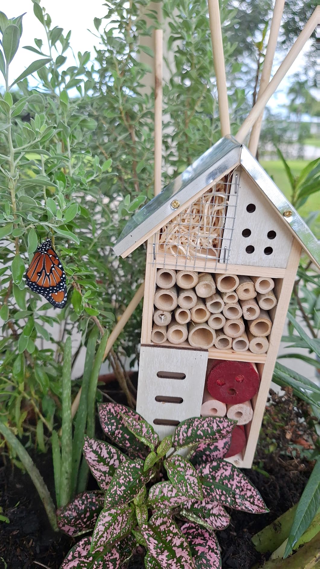 Maitys 3 Pcs Wooden Mason Insect Bee Hotel Butterfly House Natural Ladybug House Bug Hotel for Garden Outdoor Butterfly Ladybugs Live Bee Box Attracts Pollinators, 10 x 5.5 x 2.5 Inch customer photo 1