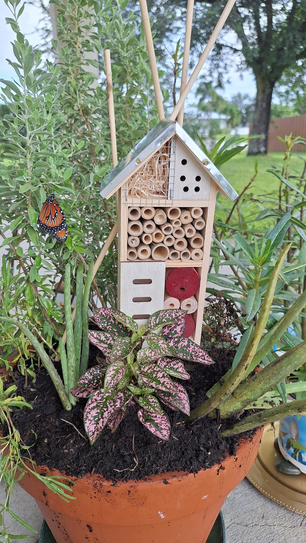 Maitys 3 Pcs Wooden Mason Insect Bee Hotel Butterfly House Natural Ladybug House Bug Hotel for Garden Outdoor Butterfly Ladybugs Live Bee Box Attracts Pollinators, 10 x 5.5 x 2.5 Inch customer photo 2
