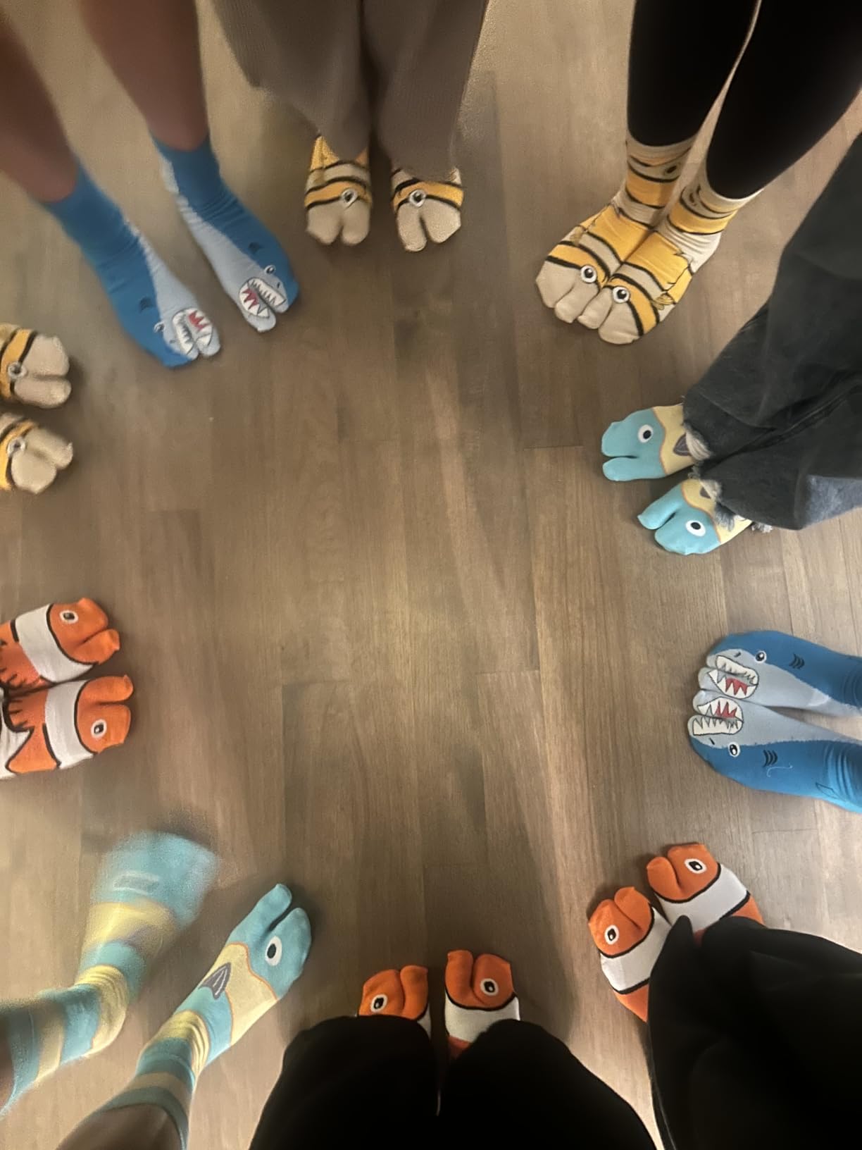 12 Pairs Funny Fish Socks, Novelty Split Toe Tabi Socks for Women Men, Soft Cotton Ocean Sea Animal Crew Sock for Flip Flops, Cute Gag Gift for Birthdays & Parties customer photo 1