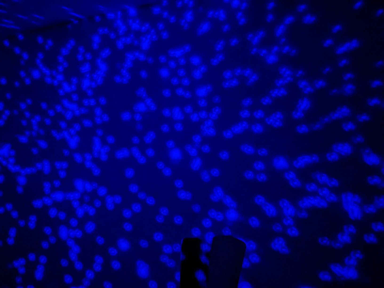 Thames & Kosmos Planetarium Projector Essential STEM Tool | Dual Projector Casts Star Maps & Space-Themed Images from the James Webb Space Telescope customer photo 2