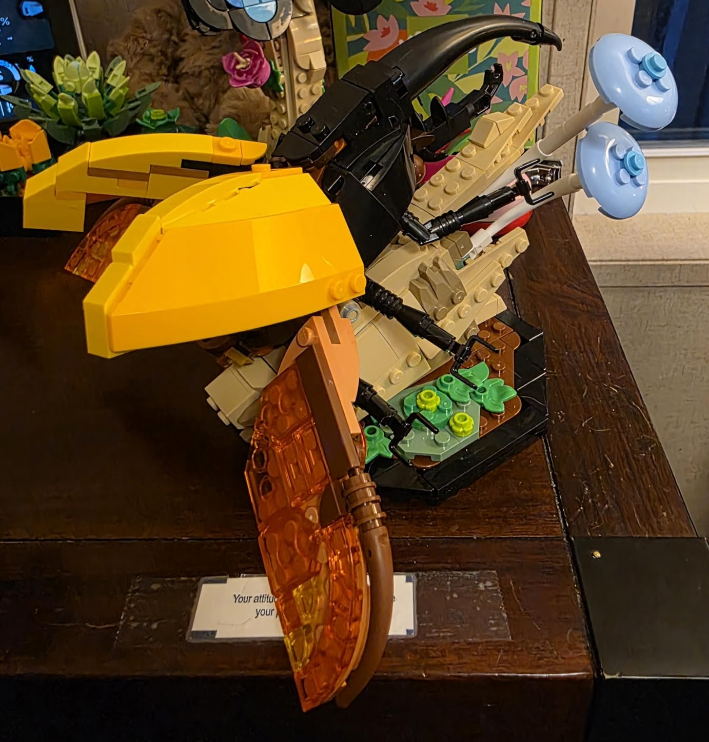 LEGO Ideas The Insect Collection, Fun Gift for Nature Lovers, with Life-Size Blue Morpho Butterfly, Hercules Beetle and Chinese Mantis Display Models customer photo 2